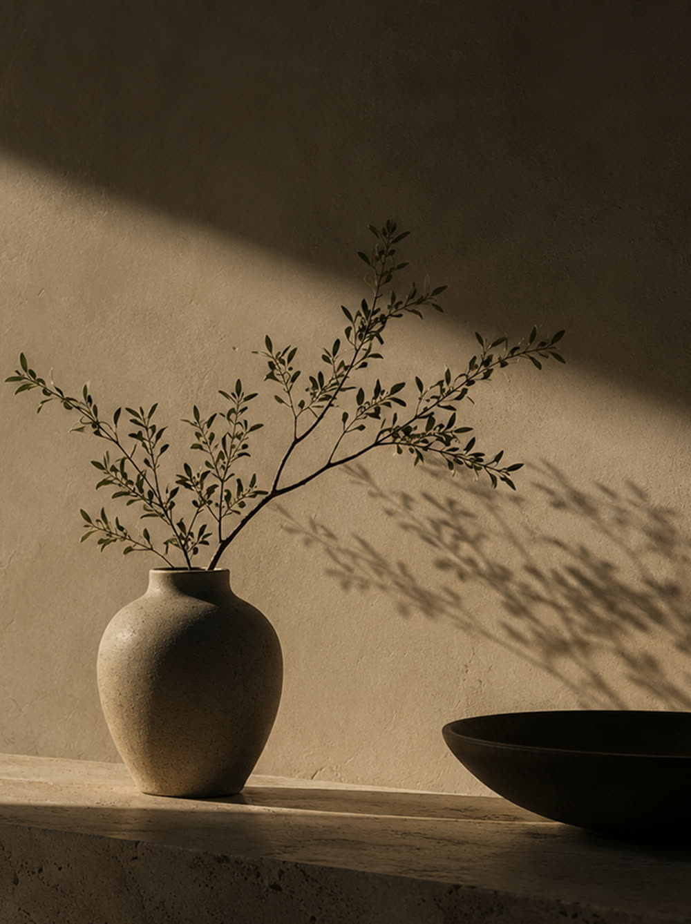 A ceramic vase and olive branch in a shaft of light